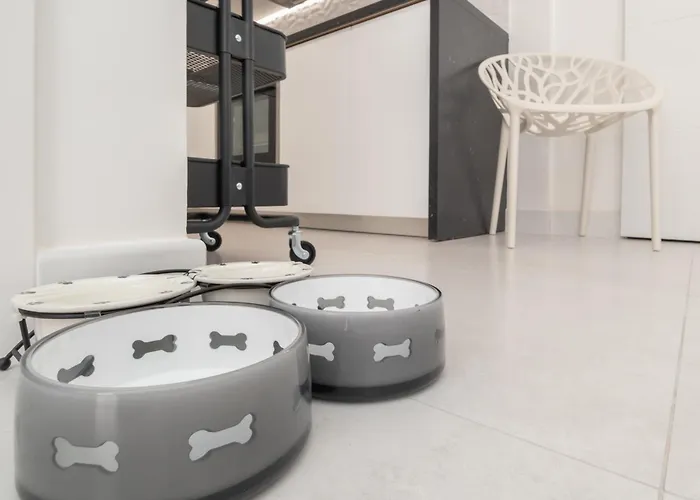 Beautiful & Fully Renovated 2bd - In Center - 20 Meters From