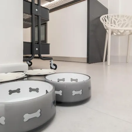 Beautiful & Fully Renovated 2bd - In Center - 20 Meters From